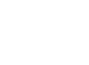 Elipse blanca
