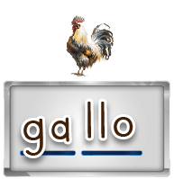 Gallo